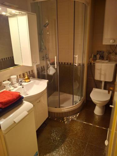 a bathroom with a shower and a sink and a toilet at VILLA GOLF Crystal Drop Apartment in Rogaška Slatina