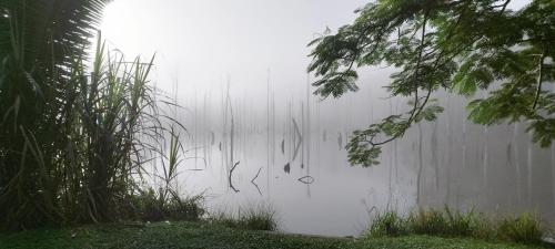 Maison en bord de rivière