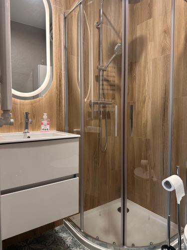 维斯瓦River Park Wisła Premium的浴室配有淋浴和洗手池