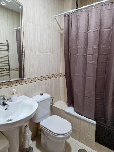 a bathroom with a toilet and a sink and a shower at Alfer in Cazorla