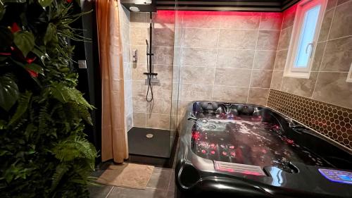 a bathroom with a black car in a shower at Europole 1 Gare de Grenoble & Centre Ville in Grenoble