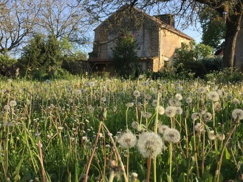 Grande chambre renaissance