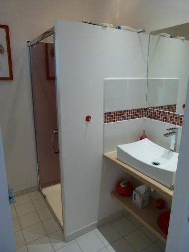 une salle de bain blanche avec un lavabo et une douche dans l'établissement Chambre d'hôtes du Pilou, à Queyssac-les-Vignes