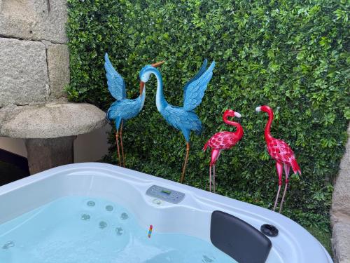 a group of flamingos standing next to a bath tub at La Casa del Horreo in Combarro