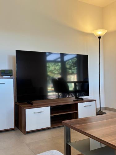a living room with a large flat screen tv at Birke in Nortrup