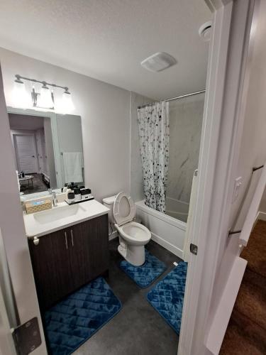 a bathroom with a toilet and a sink and a mirror at Cozy 2 Bedroom Walkout Basement in Calgary