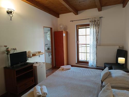 a bedroom with a bed and a television and a window at Penzion V Podzámčí Litomyšl in Litomyšl