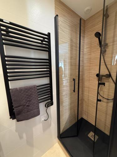 une salle de bain avec une douche avec une porte vitrée dans l'établissement Appartement élégant et chic refait à neuf, à Lyon