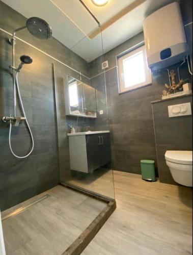 a bathroom with a shower and a toilet at Family Apartments Stefan in Budva