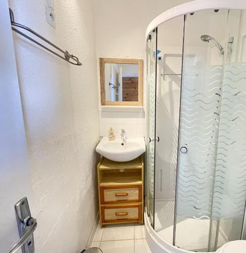 une salle de bain avec un lavabo et une douche dans l'établissement Le Rétro - Nouvelle décoration, à Albi