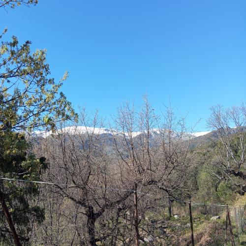 a view of snow covered mountains from behind trees at El LABRAO DE ALARDOS in El Raso