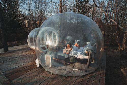 a group of people in a glass igloo at Eyja Mork - Aurora Igloo with shared Hot Tub, BBQ and kitchen - B2 in Stora Mork