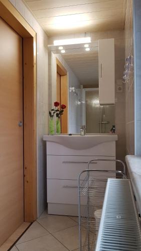 a bathroom with a sink and a mirror at Ferienwohnung Berndt in Schwarzatal