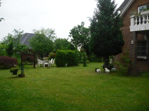 un groupe de moutons debout dans la cour d'une maison dans l'établissement Modernisierte Ferienwohnung Mit Balkon, à Schuby