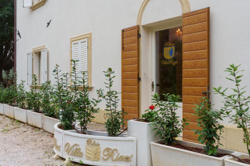 Zahrada ubytování Relais Villa Rizzi