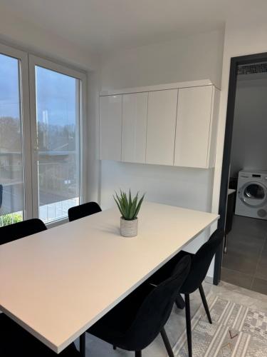 una mesa blanca con sillas y una maceta en ella en Jacuzzi Maisonette mit Weitblick, en Jesewitz