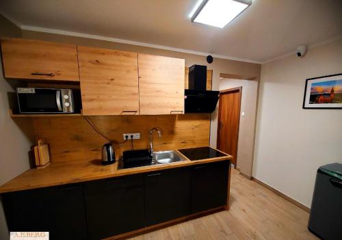 Dapur atau dapur kecil di AE Berg