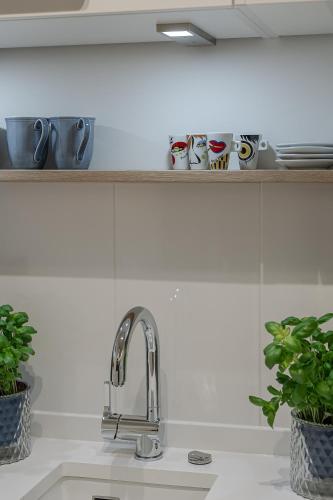 a kitchen sink with mugs on a shelf at Kleine Perle in Kampen