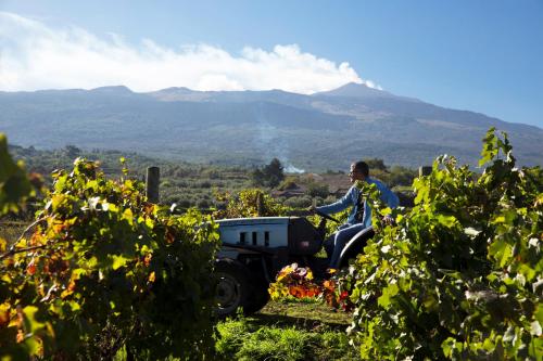 a man on a tractor in a field with a mountain at Feudo Vagliasindi -Wine Experience- in Randazzo