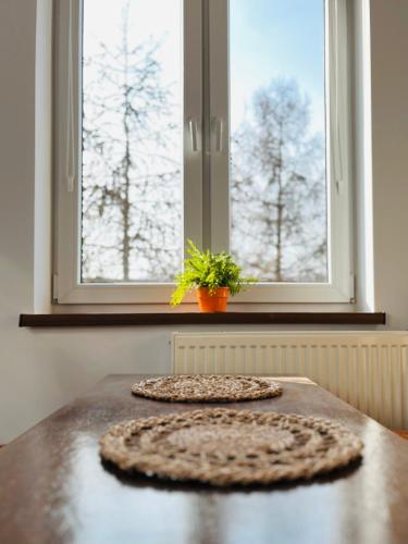two pizzas sitting on a counter in front of a window at Dom na wzgórzu z widokiem na jezioro in Brodnica Dolna