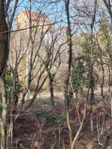 Φυσικό τοπίο κοντά σε αυτή η παραθεριστική κατοικία