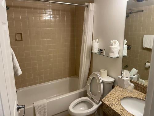 a bathroom with a toilet and a tub and a sink at Eastlake Suites Hotel & Conference Center By OYO Urbana in Champaign