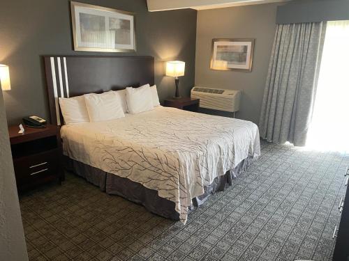 a hotel room with a bed and a window at Eastlake Suites Hotel & Conference Center By OYO Urbana in Champaign
