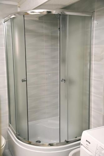 a glass shower in a bathroom with a toilet at Kuća za odmor Mumi in Gostinjac
