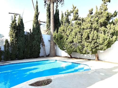Πισίνα στο ή κοντά στο House with pool in prime location - 10 mins to Universal Studio