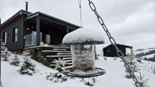 a bird feeder with snow on it in front of a house at Laska House in Pylypets