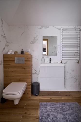 a bathroom with a sink and a toilet and a mirror at Brzozowy Zakątek in Posada Górna