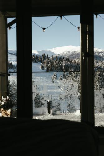 a view from a window of a snow covered yard at Laska House in Pylypets