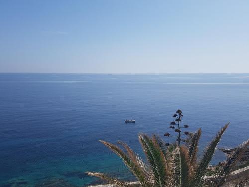 a boat in a body of water with a palm tree at Akrogiali studios in Donoussa