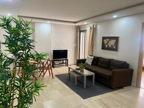Μια τηλεόραση ή/και κέντρο ψυχαγωγίας στο Appartement près de Novotel face au parc WELCOME STAY