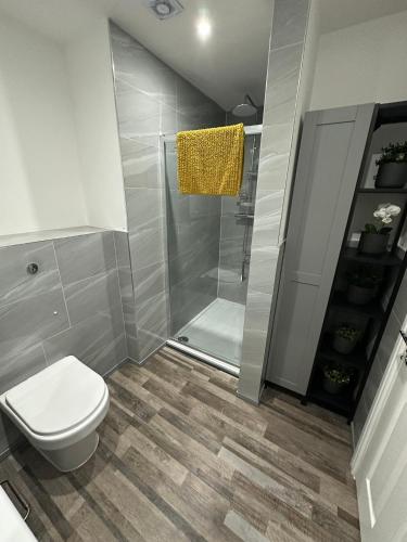 a bathroom with a toilet and a shower at Stylish Leeds City Apartment in Headingley