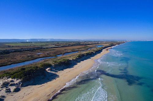 an aerial view of a beach and the ocean at La casetta di Fiore in Selva di Fasano