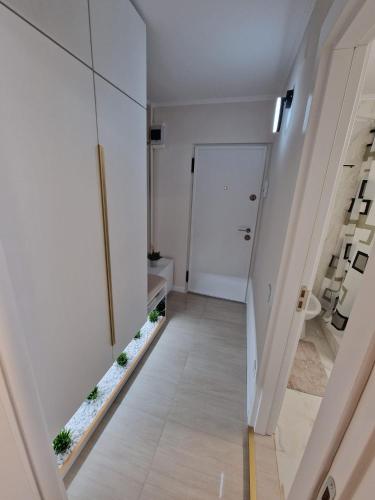 a hallway with a staircase with plants on the floor at Cazare Buzau Lux in Buzău