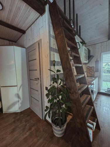 a staircase in a kitchen with a potted plant at Bonanza Terra in Rukliai