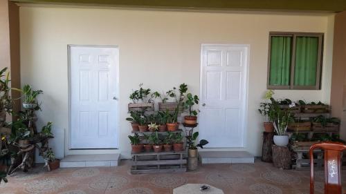 a room with two white doors and a bunch of potted plants at Michael's place in Oranjestad