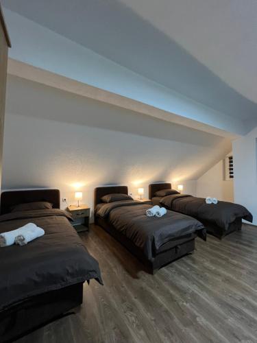 una camera con 3 letti di Apartmani Ćosić - Kuršumlijska banja a Kursumlijska Banja