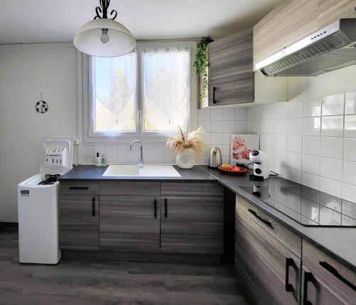 une cuisine avec un évier et une fenêtre dans l'établissement LE LOGIS DE L'ARQUEBUSE GARE, Centre ville et Cité Gastronomique, à Dijon