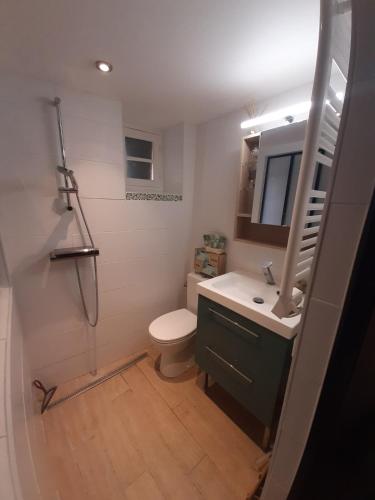 une salle de bain avec toilettes, lavabo et miroir dans l'établissement Jolie maison Foix, à Foix