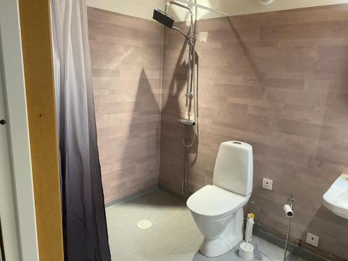 a bathroom with a shower and a toilet and a sink at Skräpplinge gård in Mörlunda