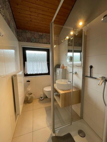 a bathroom with a shower and a sink and a toilet at H5 Haus Schwalbennest Kaminofen WLAN in Butjadingen