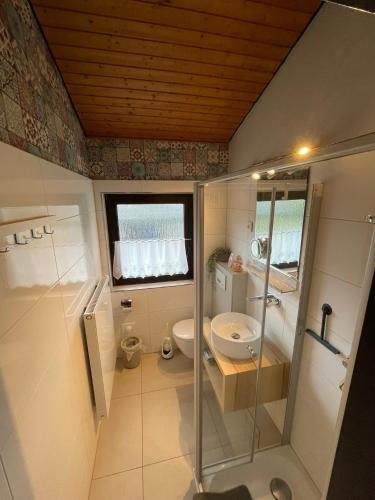 a bathroom with a shower and a toilet and a sink at H5 Haus Schwalbennest Kaminofen WLAN in Butjadingen
