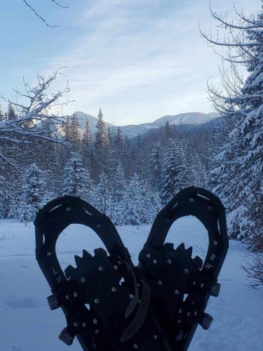 冬のRocky Mountain Escape Dome & Log Cabin Rentals - Rock Lakeの様子