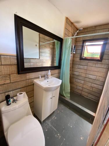 a bathroom with a toilet and a sink and a shower at Vista bosque y rio in Villa Cerro Castillo