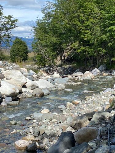 a river with rocks and trees in the background at Vista bosque y rio in Villa Cerro Castillo