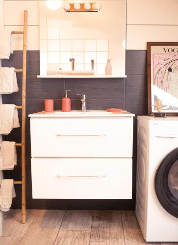 une salle de bain avec un lavabo et une machine à laver dans l'établissement Appartement Chez Mamie centre et Nausicaa, à Boulogne-sur-Mer