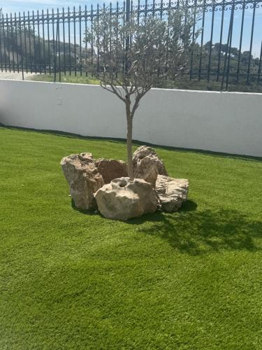 a tree in the middle of some rocks at Villa Isidora Luxe in Kalívia Thorikoú